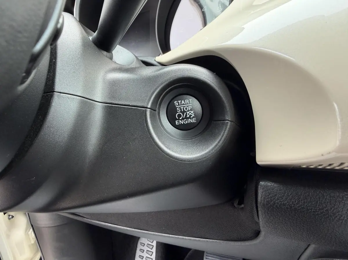 Cross 1.3 GSE Cross - NAVI/CARPLAY/LEER/LED/NAP