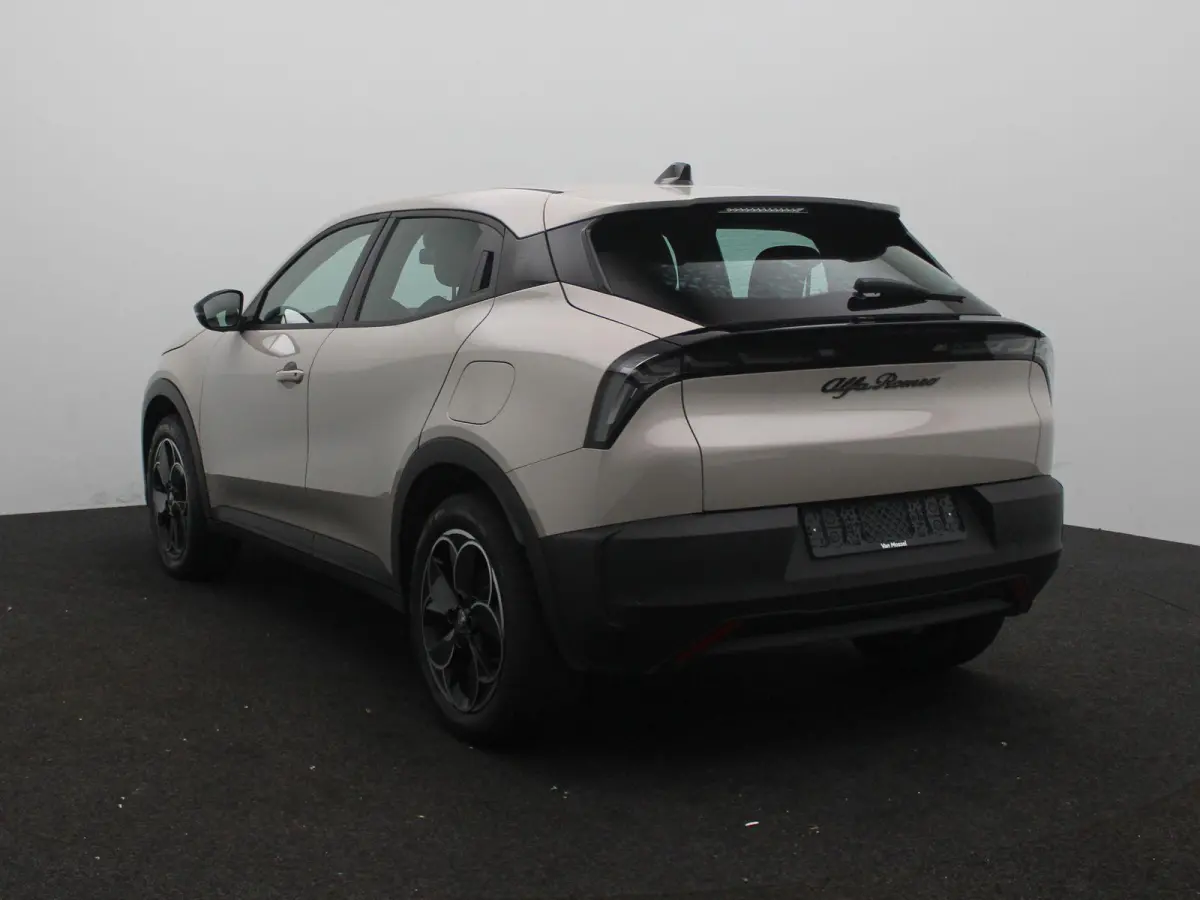 Elettrica 54 kWh | Apple Carplay/Android Auto | Climate control | 18" Lichtmetalen velgen | Parkeersensoren