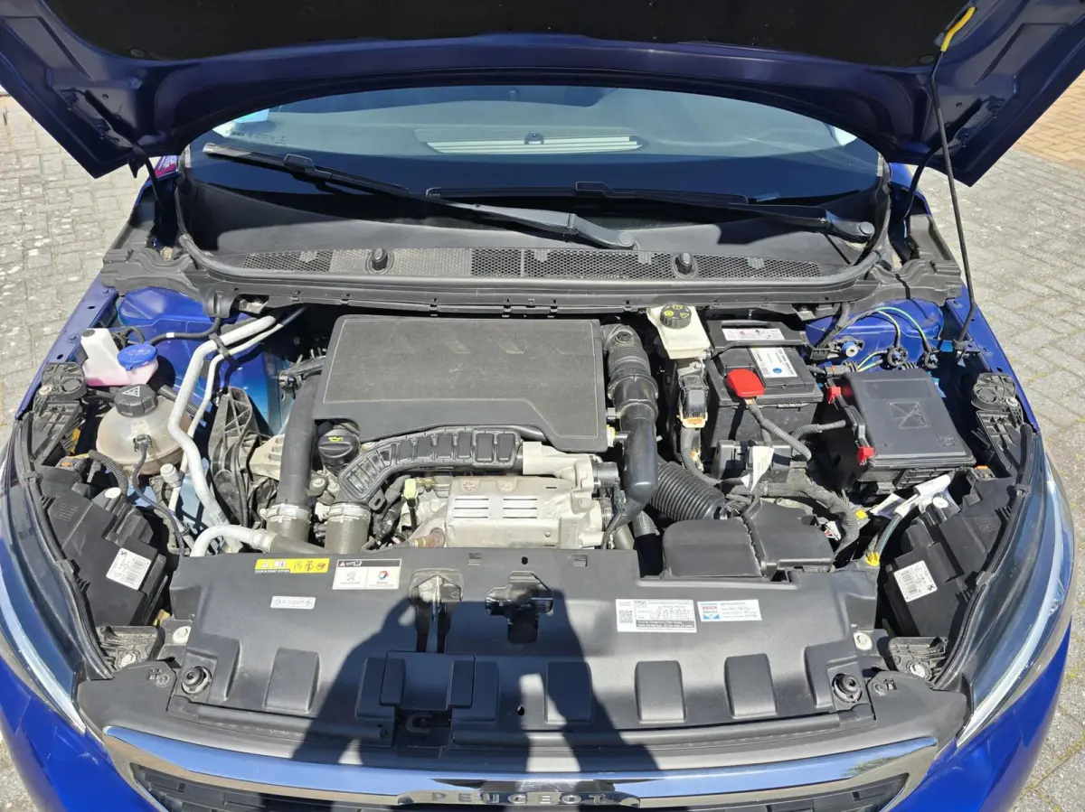 1.2 PureTech Blue Lease Exec. Navi/Pano/Clima