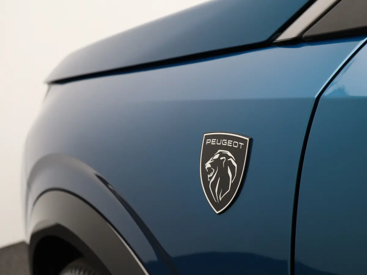GT Avantage 210 74 kWh Navi | Airco | Cruise Control | Stoelverwarming | Camera | Apple Carplay/Android Auto | leder | LED