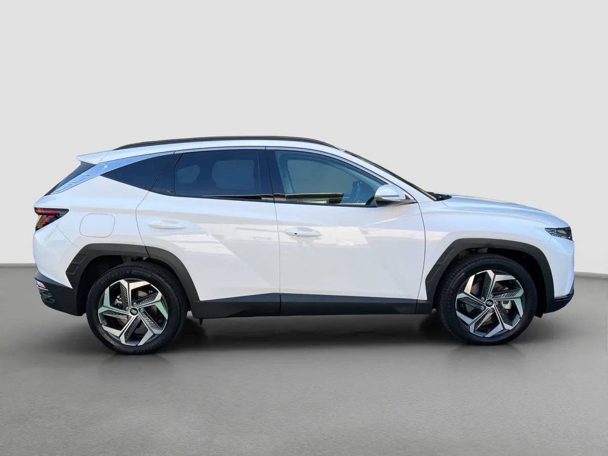1.6 T-GDI PHEV Comfort Smart 4WD | Climate | Camera | Carplay | Keyless | Navigatie |