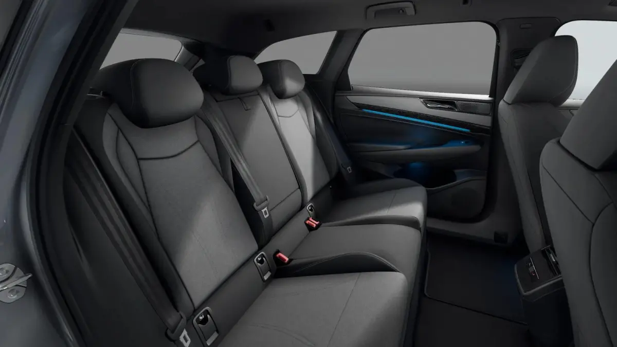 204pk Limited Edition 59 kWh | Black Style Pakket