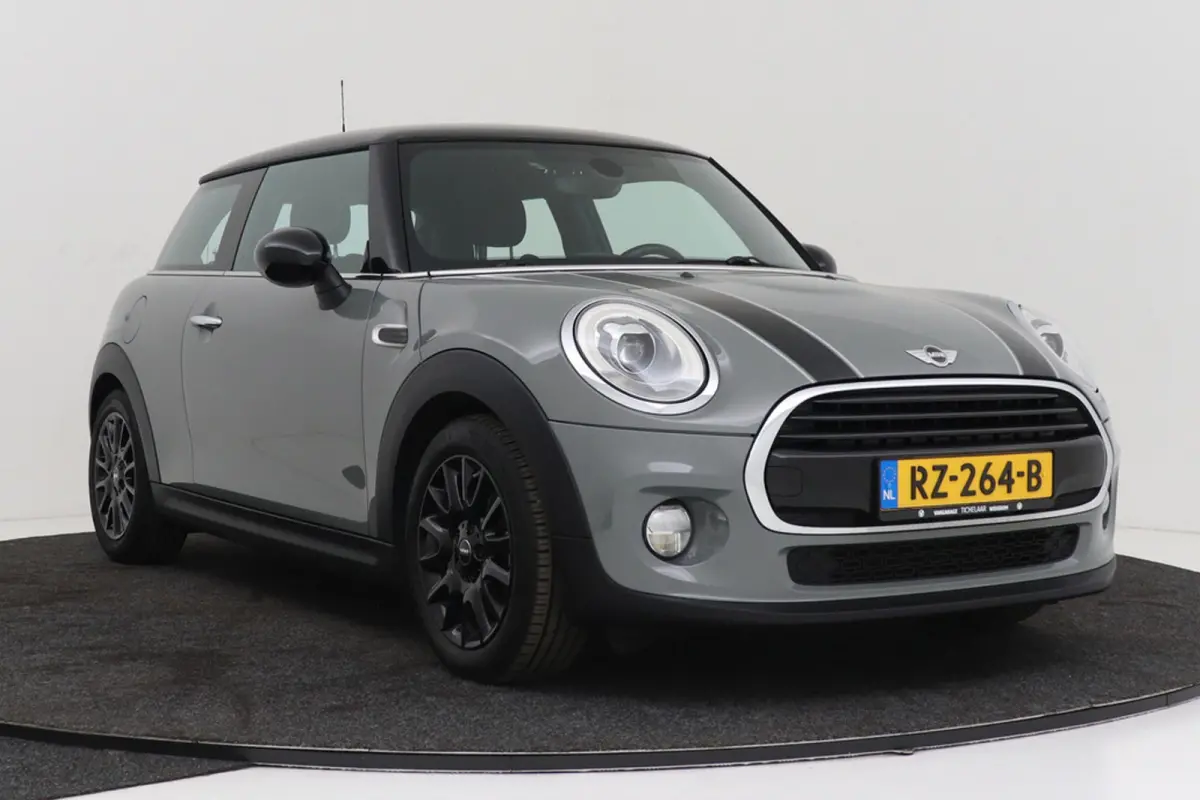 Mini 1.5 Chili | Org NL | Climate Control | Sportstoelen |