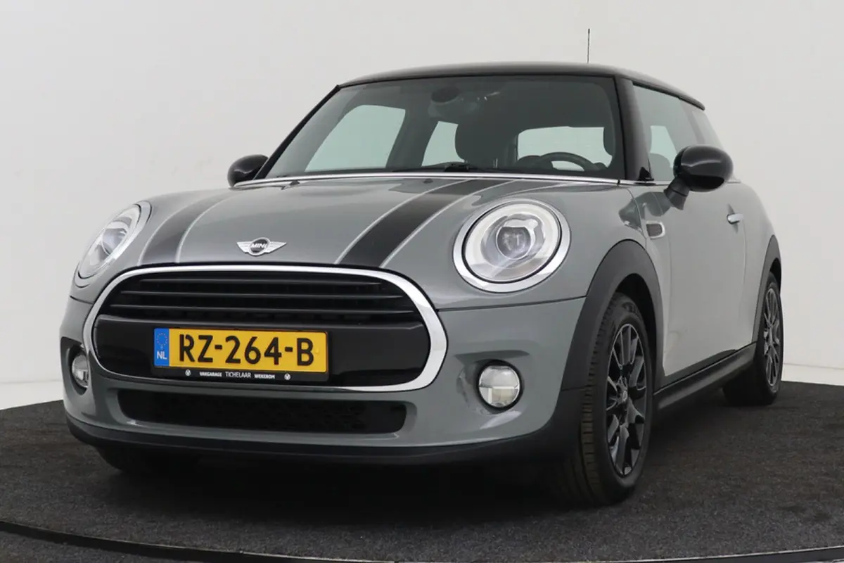 Mini 1.5 Chili | Org NL | Climate Control | Sportstoelen |