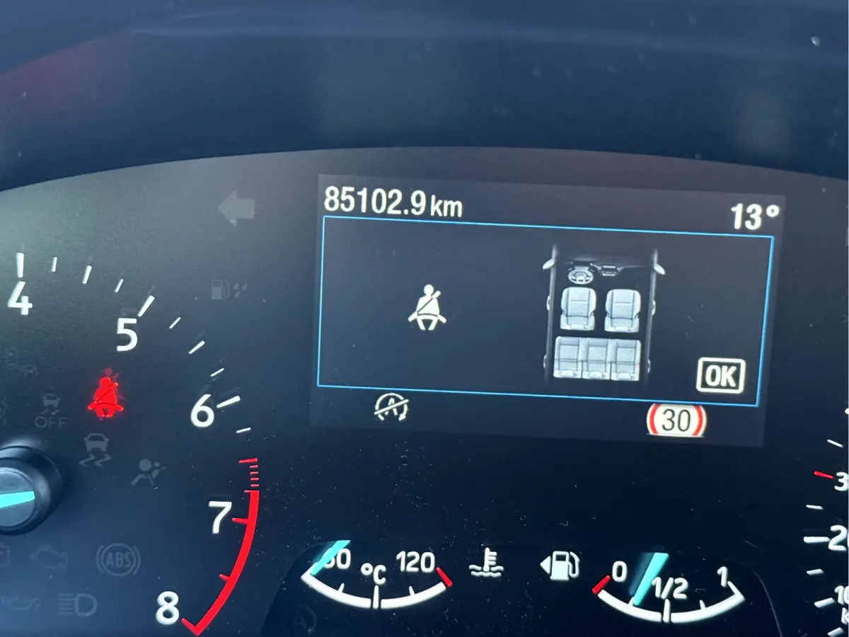 1.0 EcoBoost Hybrid ST Line X Winterpakket, Camera, 17''Lmv