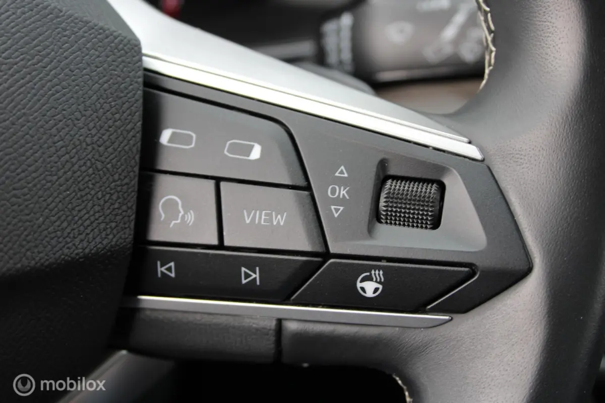 1.4 TSI eHybrid PHEV Excellence/Led/