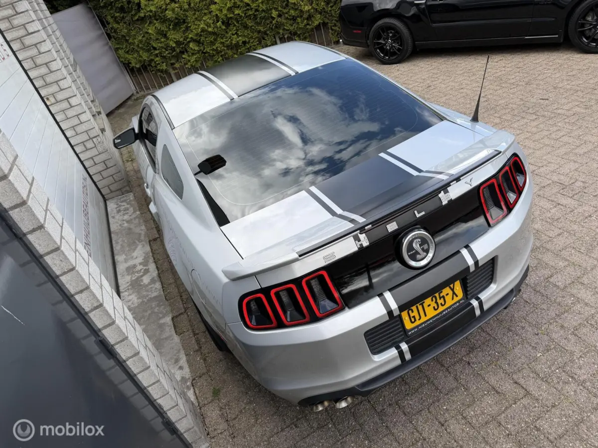5.0 V8 GT500 Shelby-pack
