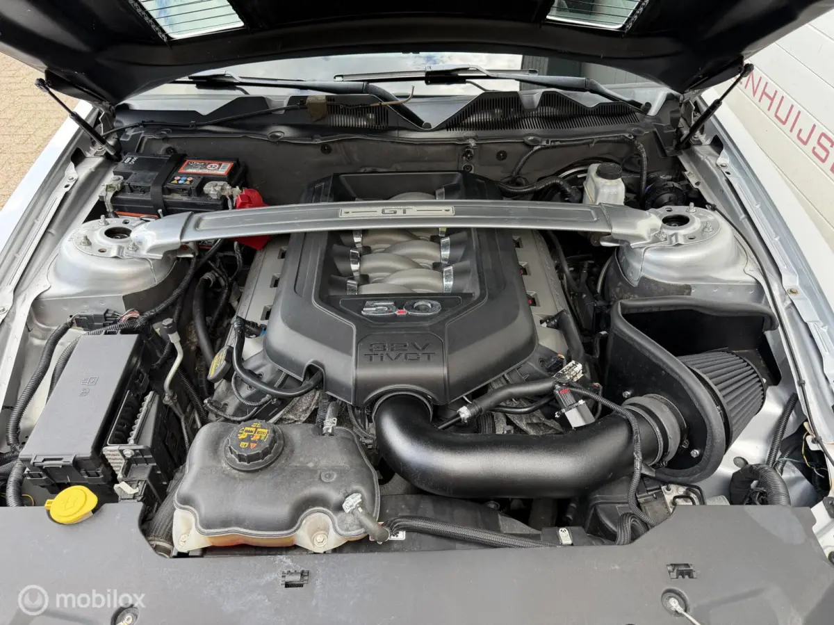 5.0 V8 GT500 Shelby-pack