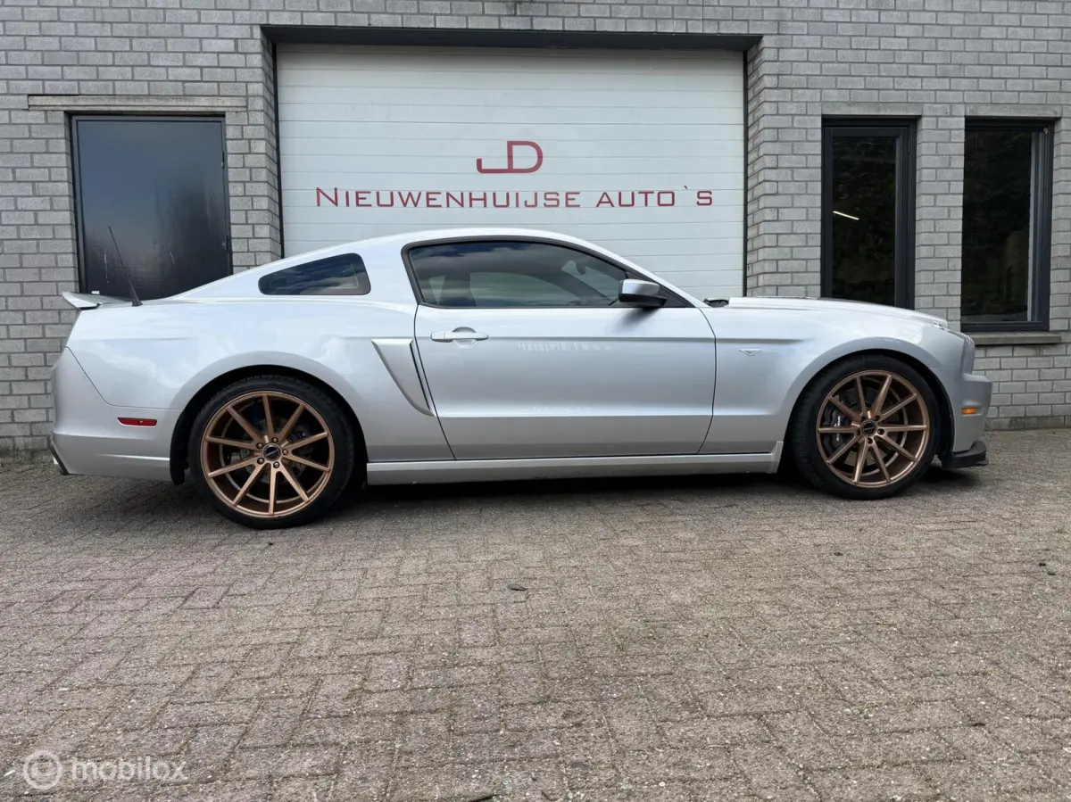 5.0 V8 GT500 Shelby-pack