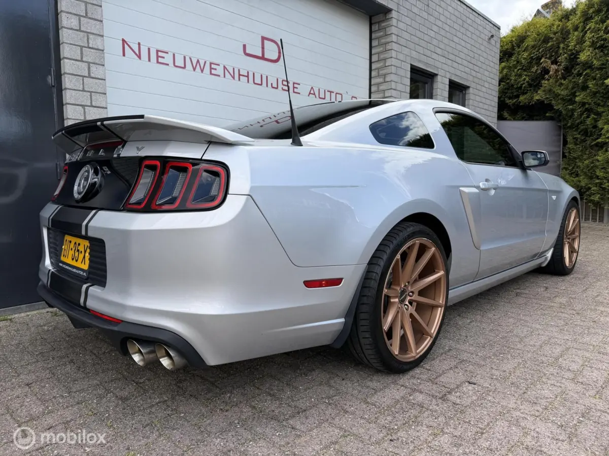 5.0 V8 GT500 Shelby-pack