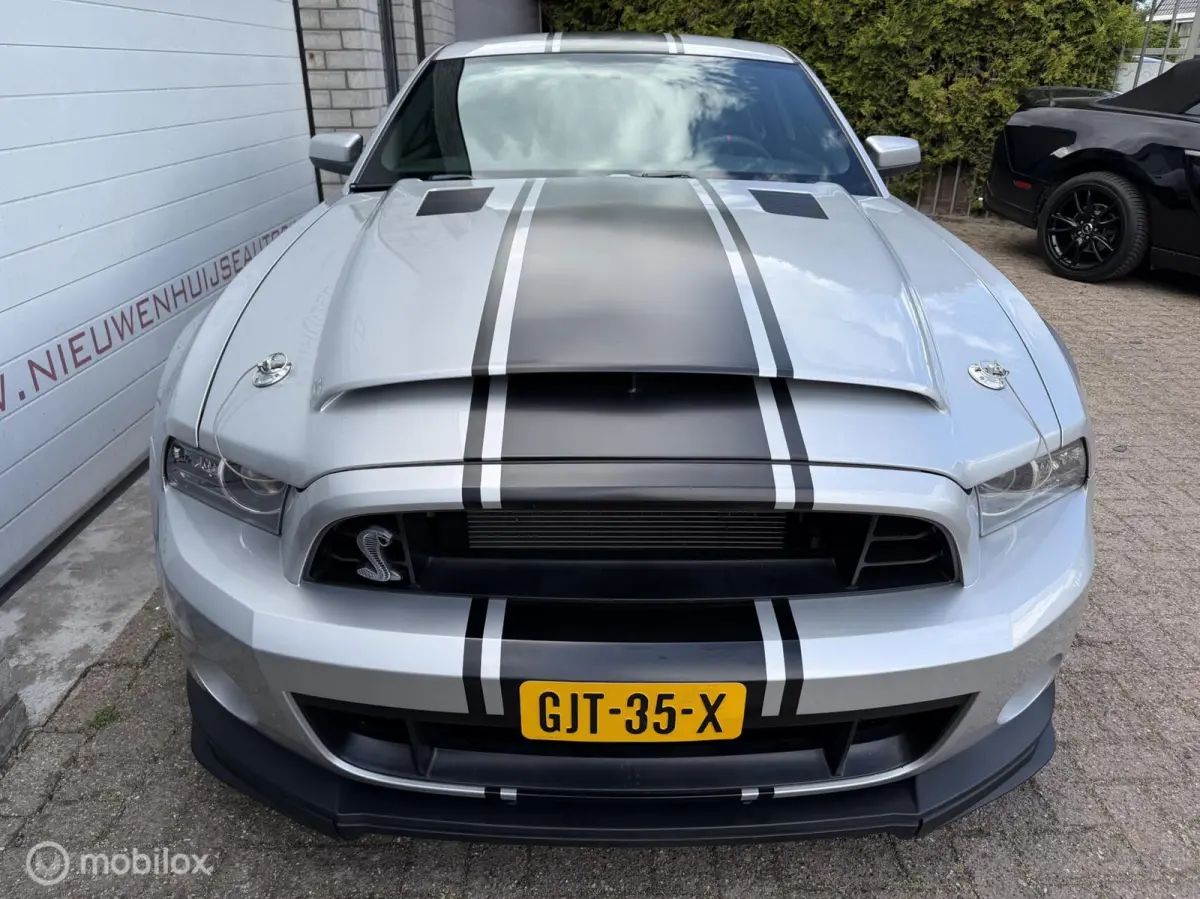 5.0 V8 GT500 Shelby-pack
