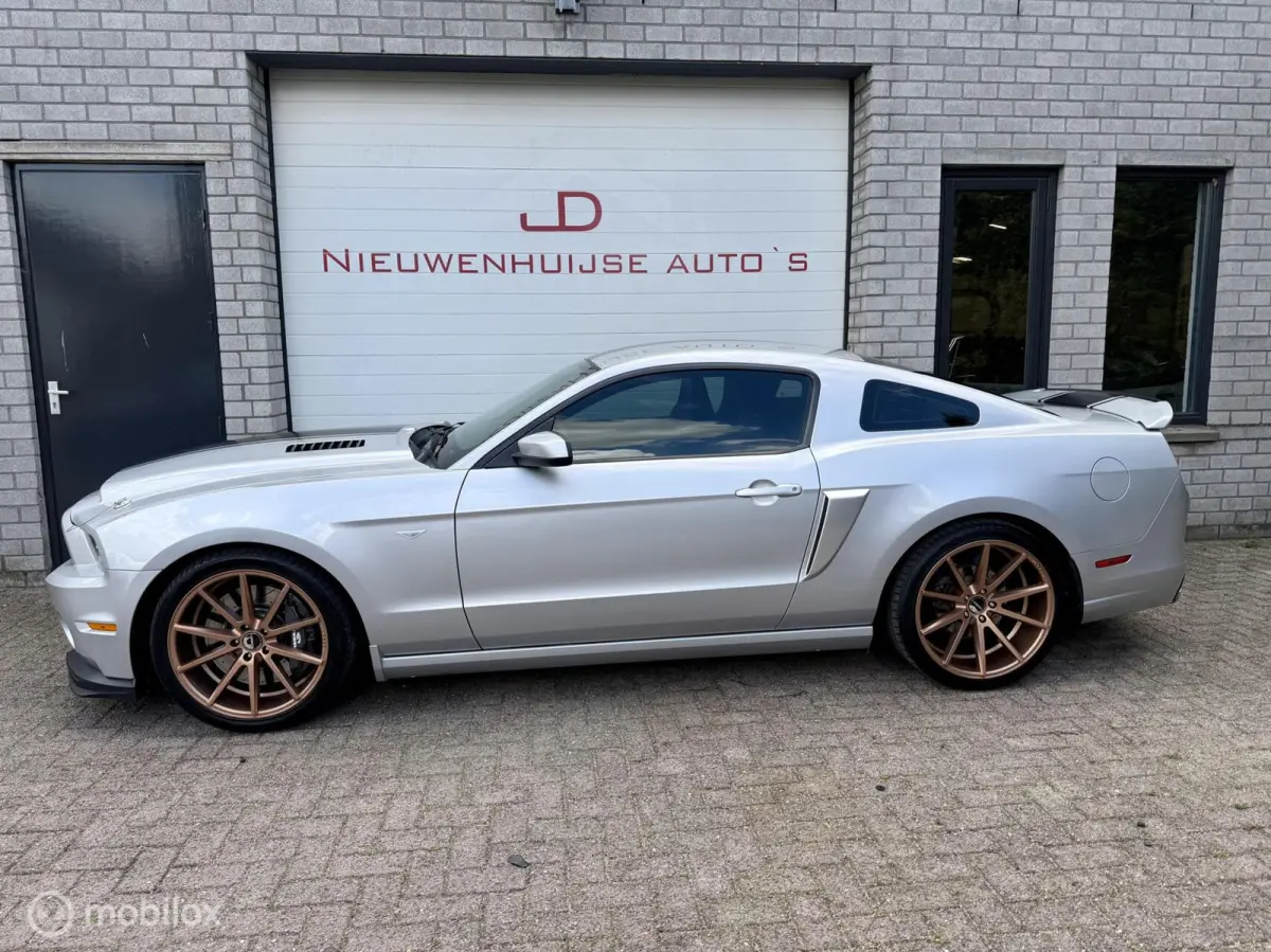 5.0 V8 GT500 Shelby-pack