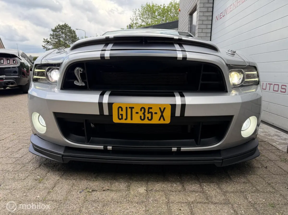 5.0 V8 GT500 Shelby-pack