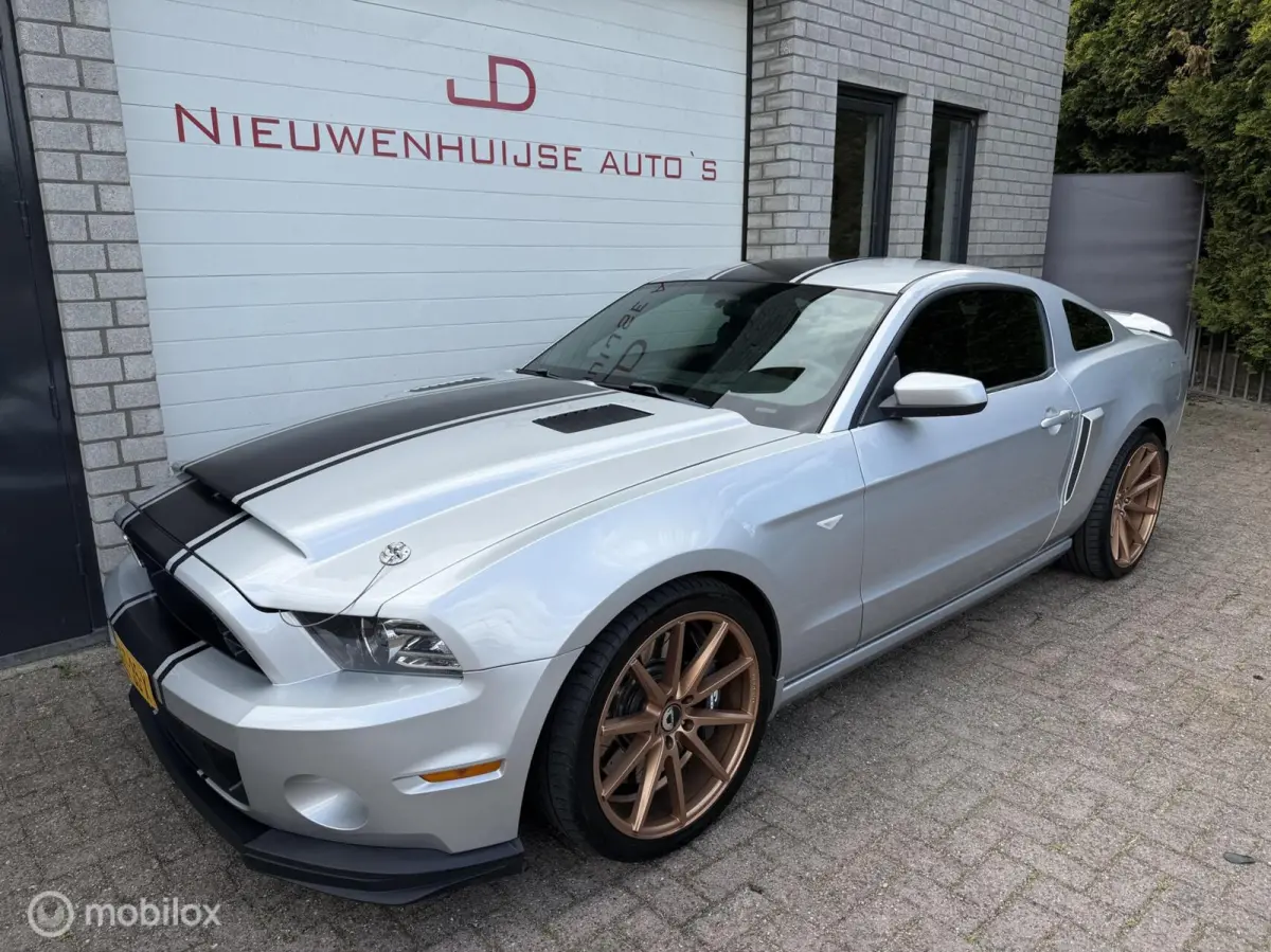 5.0 V8 GT500 Shelby-pack