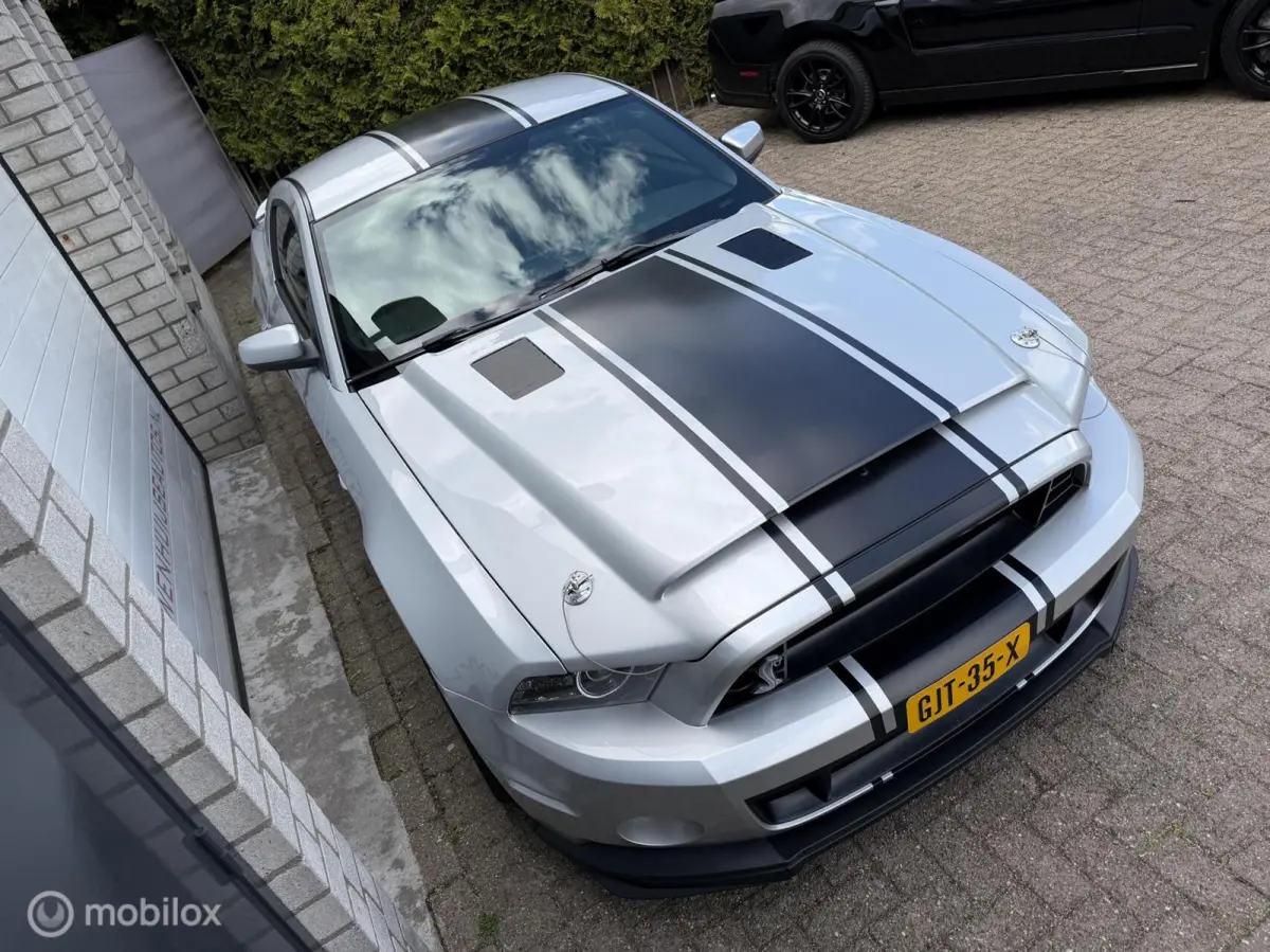 5.0 V8 GT500 Shelby-pack