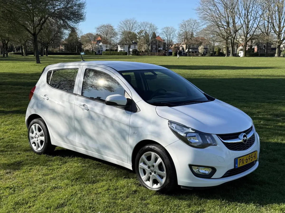1.0 Airco Cruise PDC NAP Rijklaar Autotrust