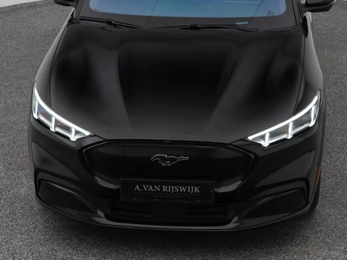 Premium AWD 75 kWh | ADAPTIVE | B&O | STOELVERW. | 360° | LEDER