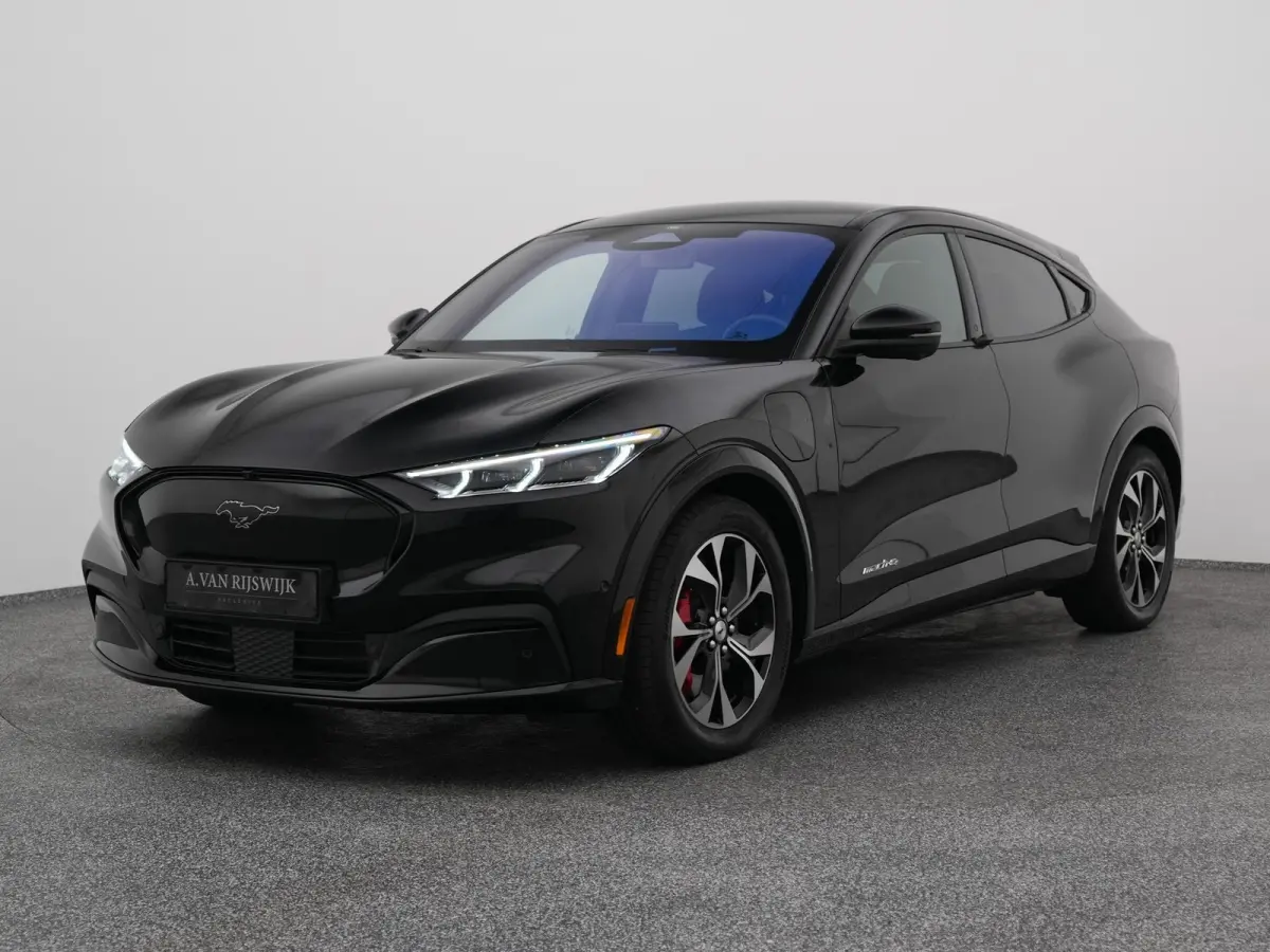 Premium AWD 75 kWh | ADAPTIVE | B&O | STOELVERW. | 360° | LEDER