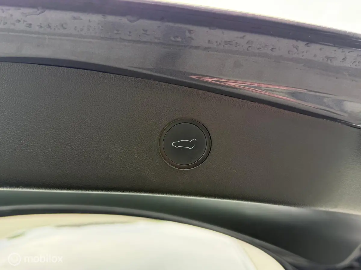 Standard RWD Plus - SOH 90% – 60 kWh – LFP – Autopilot - Incl. BTW