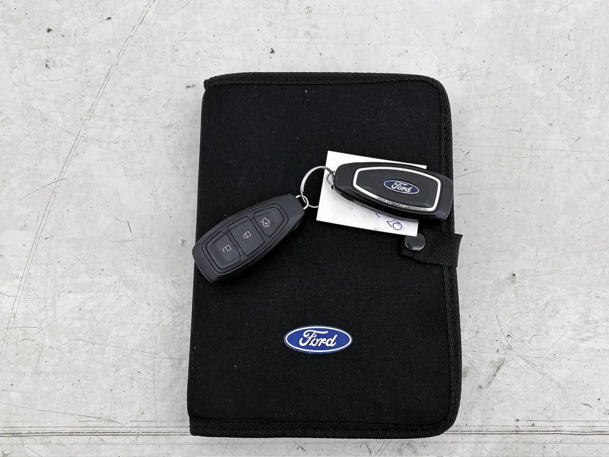 1.0 EcoBoost Titanium (NAVIGATIE, CARPLAY, STUURBEDIENING, LM VELGEN., 1e EIGENAAR, DEALER ONDERHOUDEN)