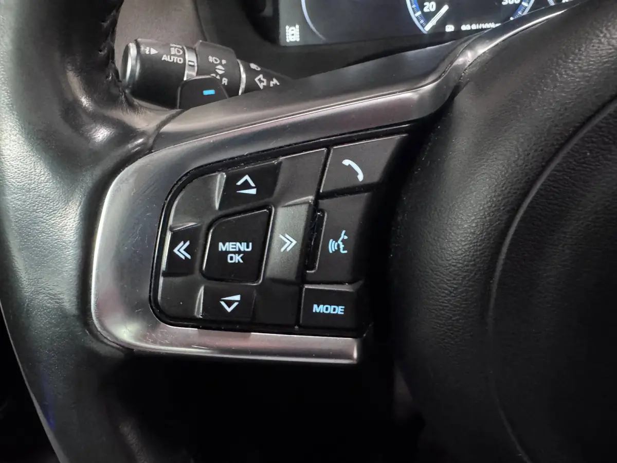 2.0 Portfolio AWD 30t Meridian Panoramadak HUD