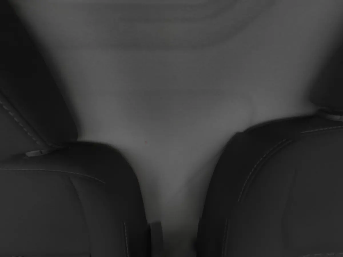 350 L2H2 Trend 68 kWh | CAMERA | CARPLAY | STOELVERW.