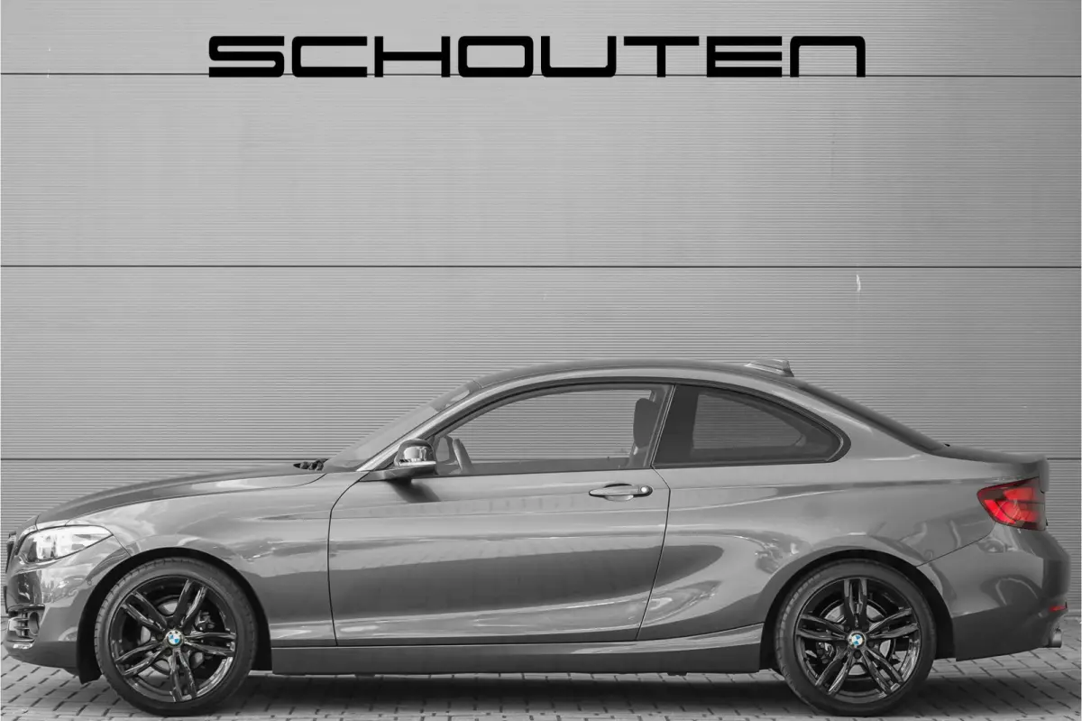 218i Executive Edition Camera Parkeerhulp 18"