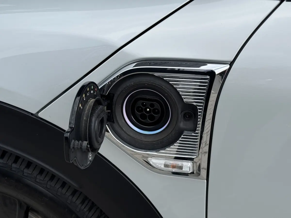 2.0 Cooper SE ALL4 Pano/Camera/H&K