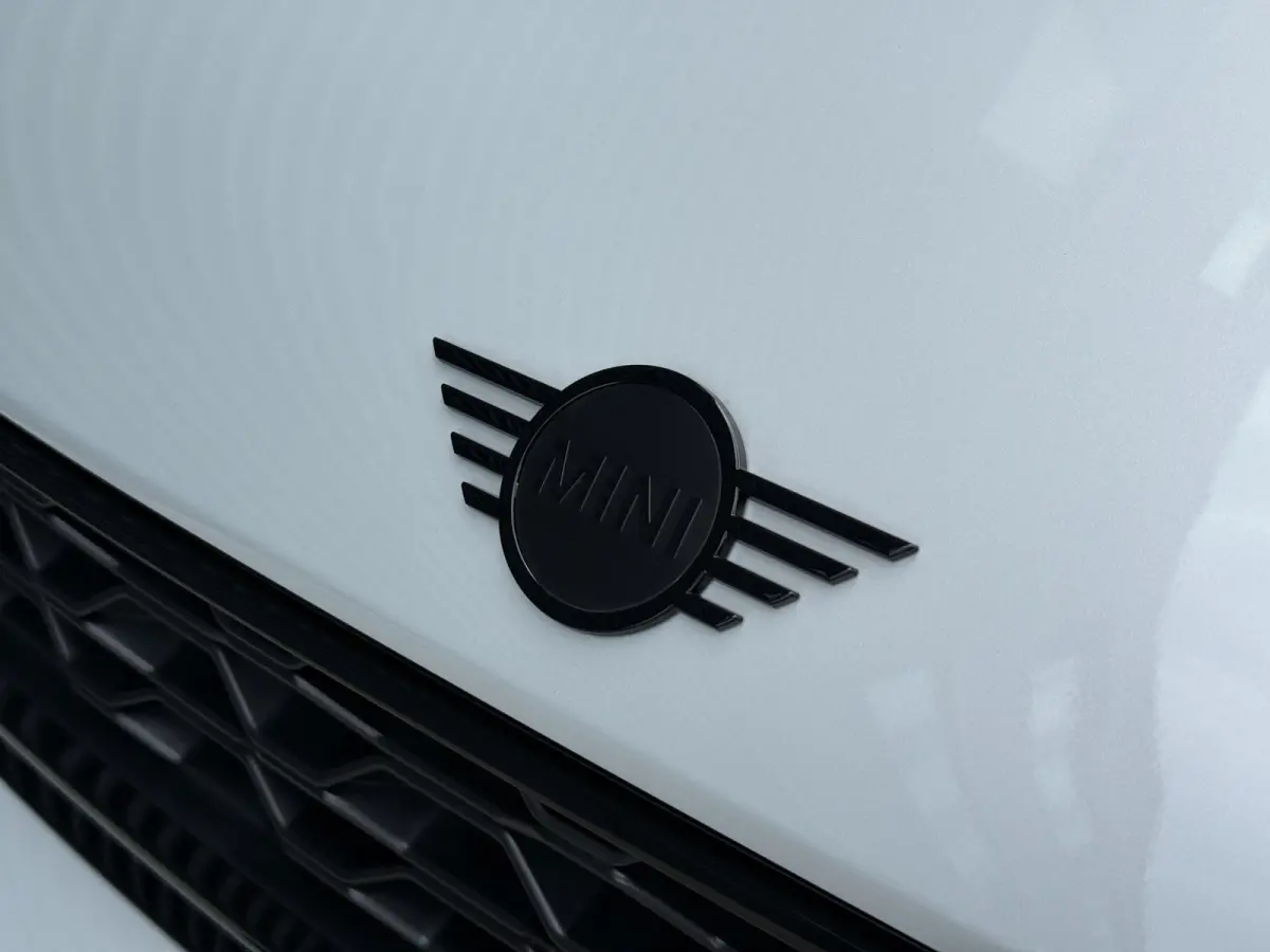 2.0 Cooper SE ALL4 Pano/Camera/H&K