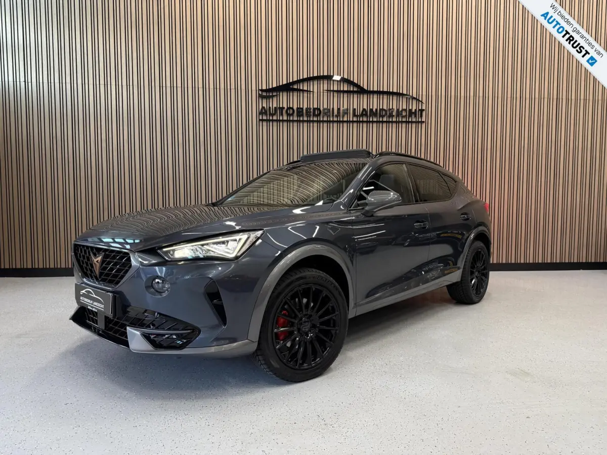 1.5 tfsi | Pano | Camera | Automaat