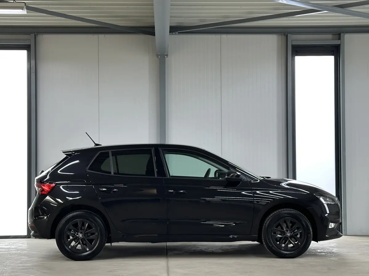 1.0 TSI 115 pk DSG Edition | Apple Carplay/Android Auto | Camera | Winter Pakket |