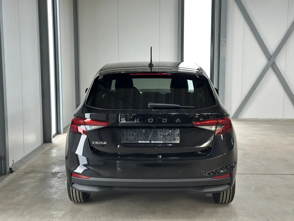 1.0 TSI 115 pk DSG Edition | Apple Carplay/Android Auto | Camera | Winter Pakket |