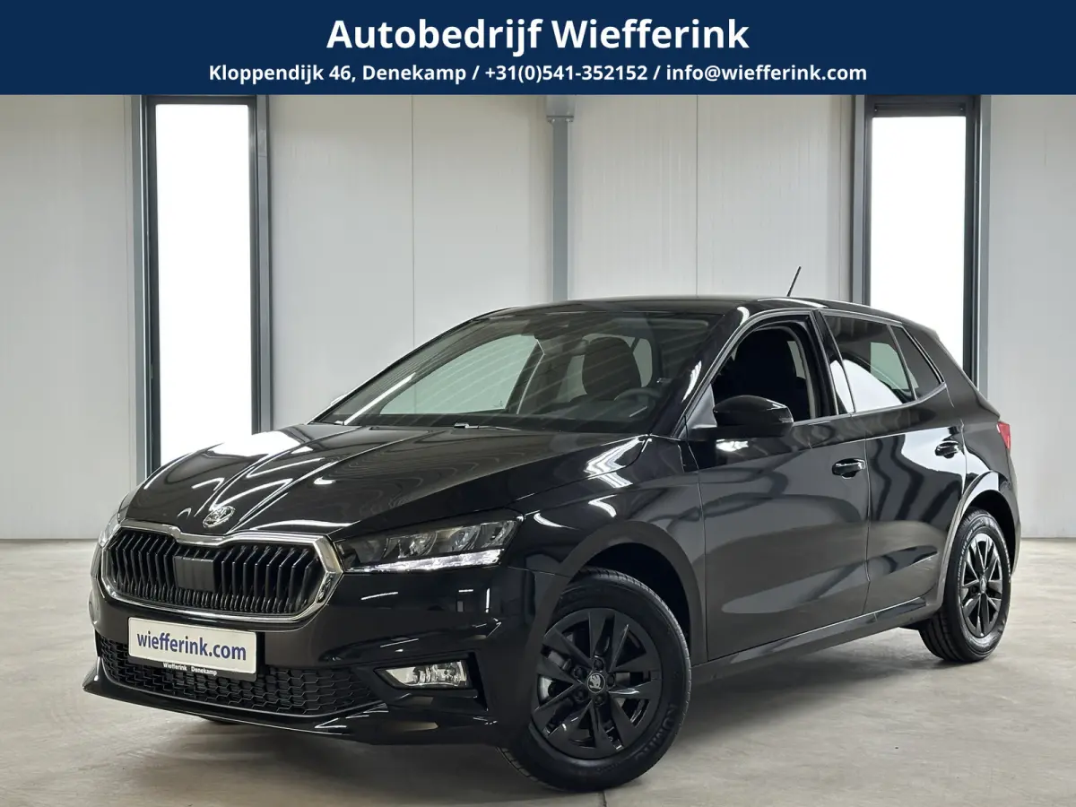 1.0 TSI 115 pk DSG Edition | Apple Carplay/Android Auto | Camera | Winter Pakket |