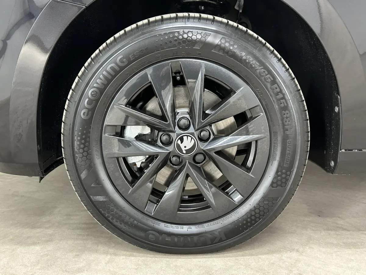 1.0 TSI 115 pk DSG Edition | Apple Carplay/Android Auto | Camera | Winter Pakket |