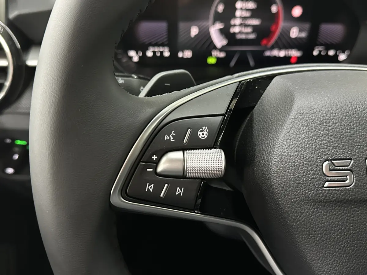 1.0 TSI 115 pk DSG Edition | Apple Carplay/Android Auto | Camera | Winter Pakket |