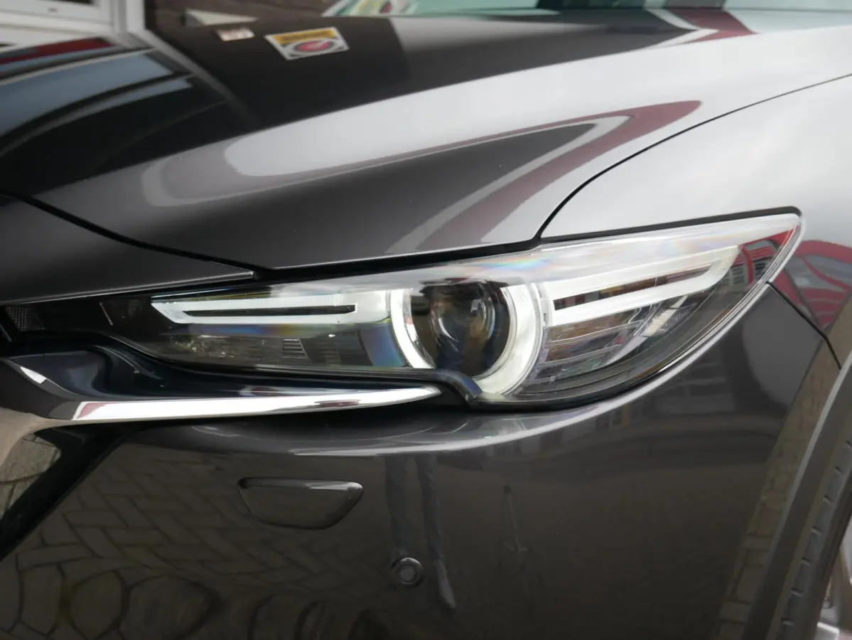 2.5 SkyActiv-G 194 Signature BOSE| ACC| 360 Camera| Dealer onderhouden
