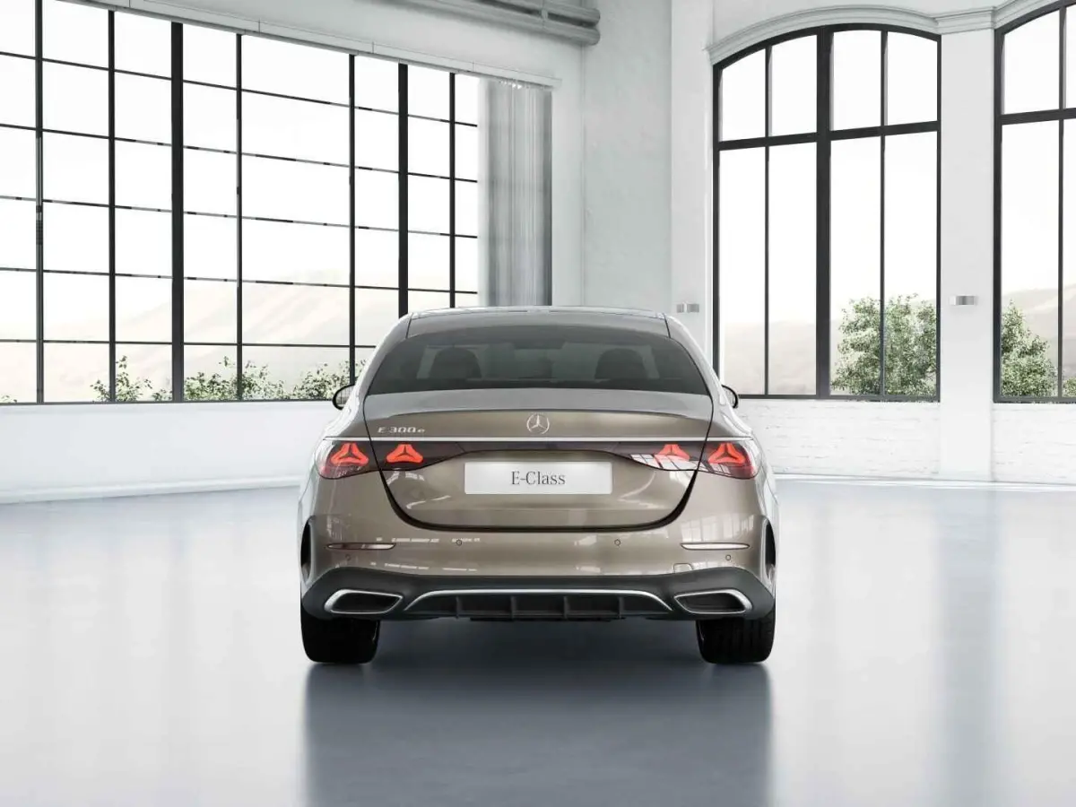 300 e Business Solution AMG