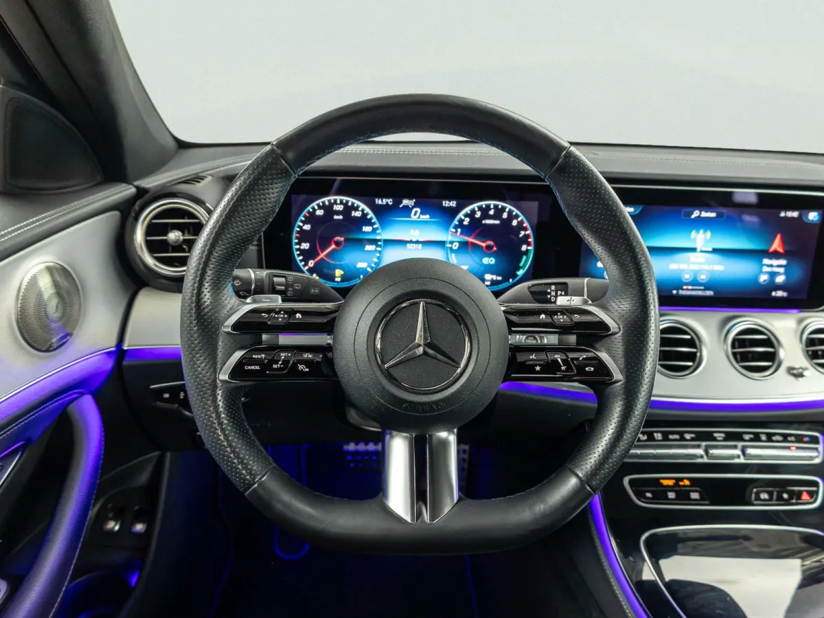 300 e AMG Line | Panorama dak