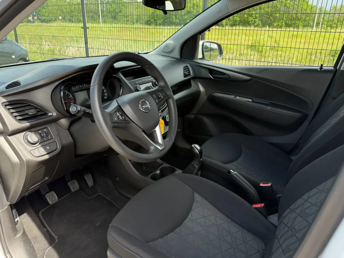 1.0 ecoFLEX 120 Jaar Edition| Bluetooth | Cruise Control| AIRCO