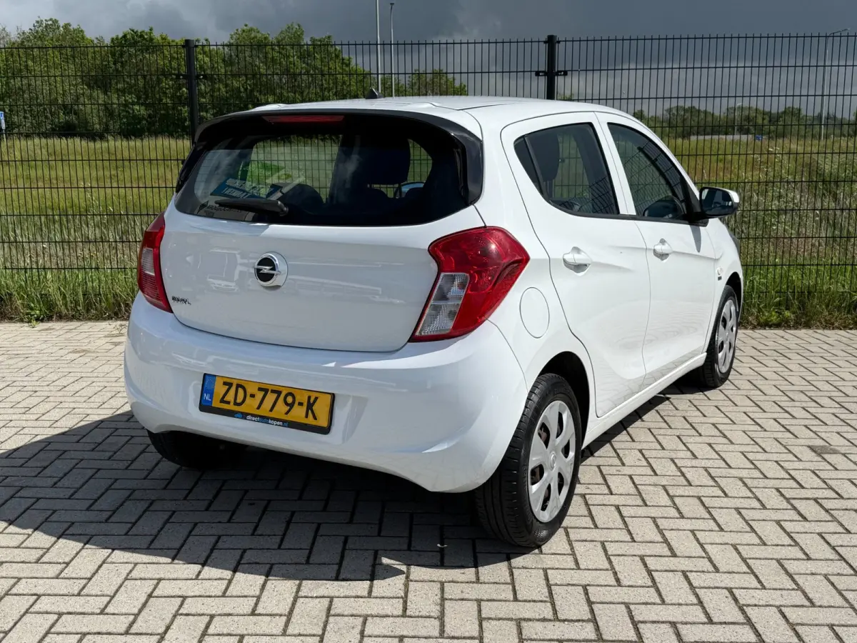 1.0 ecoFLEX 120 Jaar Edition| Bluetooth | Cruise Control| AIRCO