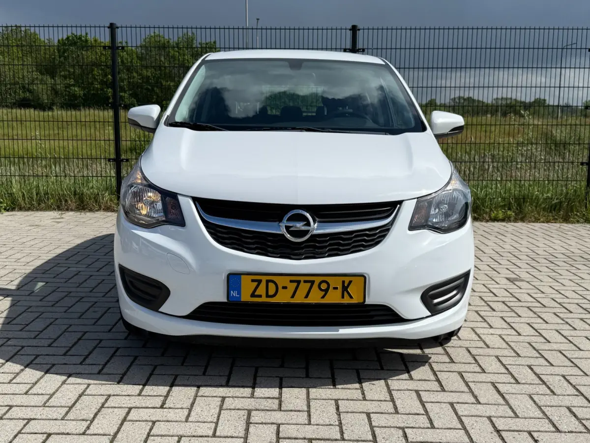 1.0 ecoFLEX 120 Jaar Edition| Bluetooth | Cruise Control| AIRCO