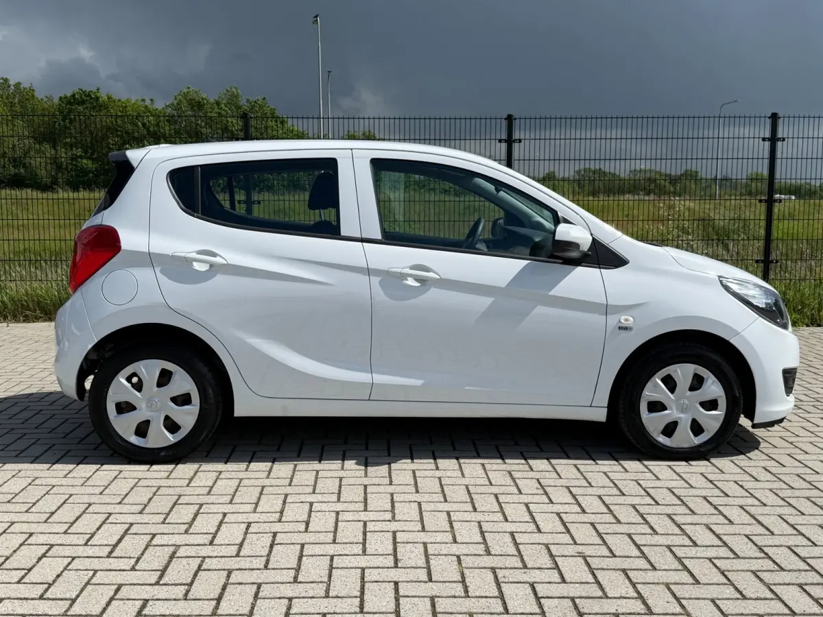 1.0 ecoFLEX 120 Jaar Edition| Bluetooth | Cruise Control| AIRCO