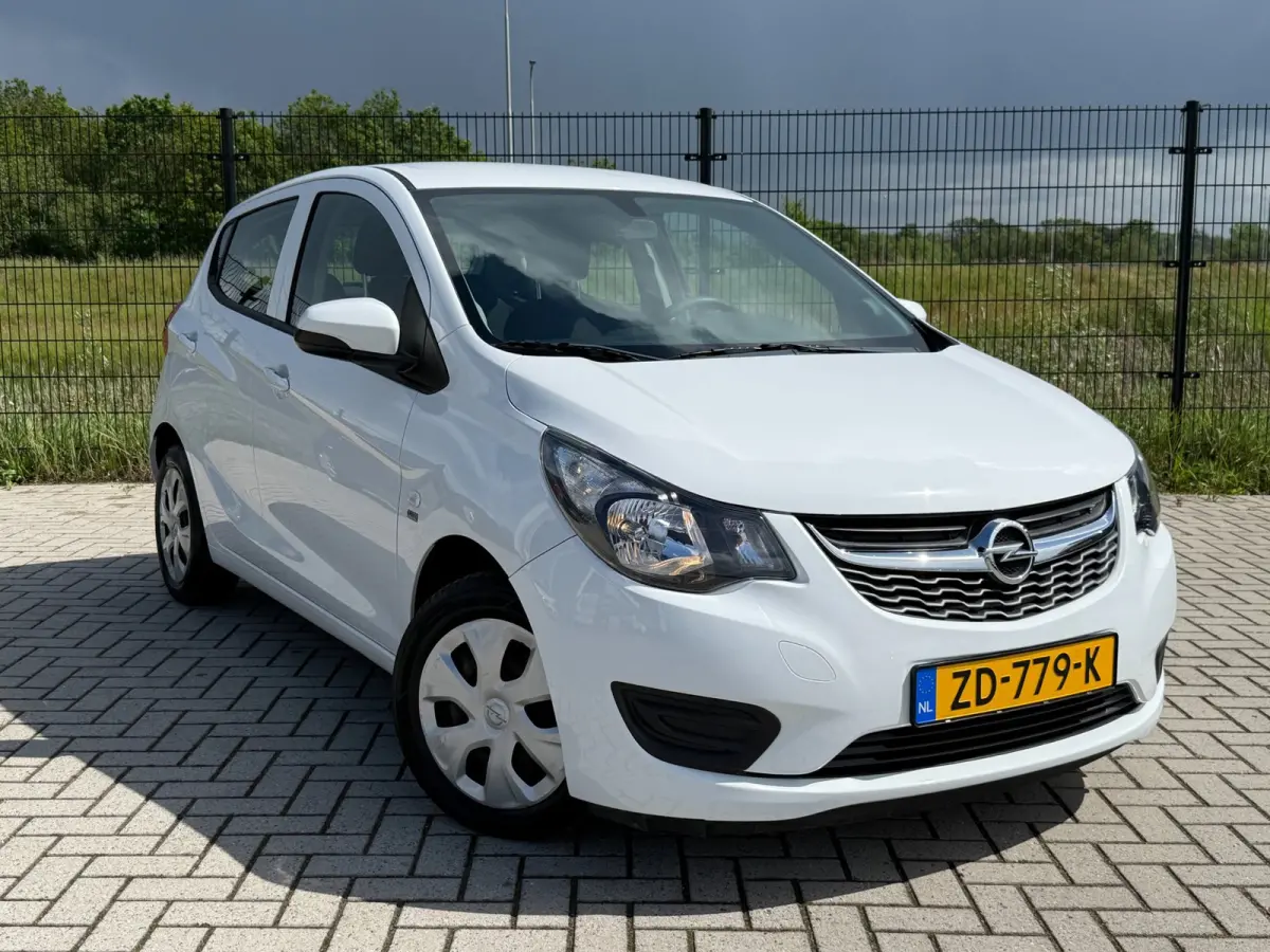 1.0 ecoFLEX 120 Jaar Edition| Bluetooth | Cruise Control| AIRCO
