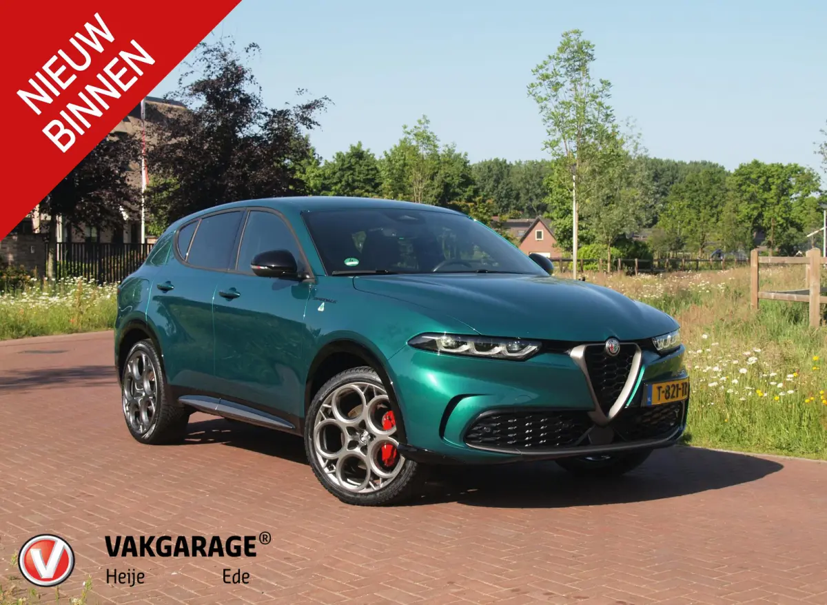 1.3T PHEV Edizione Speciale | 280PK | Winterpakket | NL-Auto | Camera |