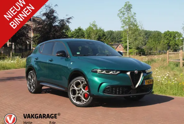 1.3T PHEV Edizione Speciale | 280PK | Winterpakket | NL-Auto | Camera |