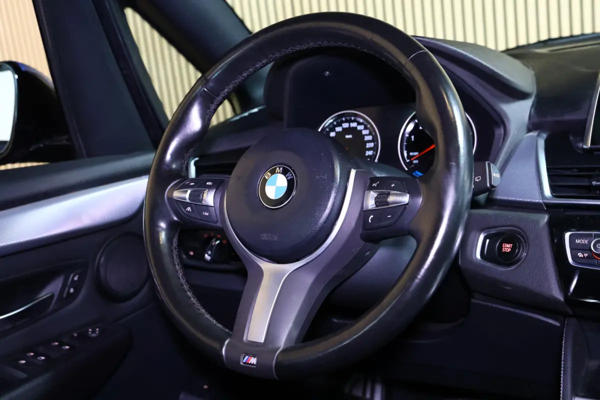 225xe M SPORT iPerform PLUGIN AUTOM PANO NAVI "20