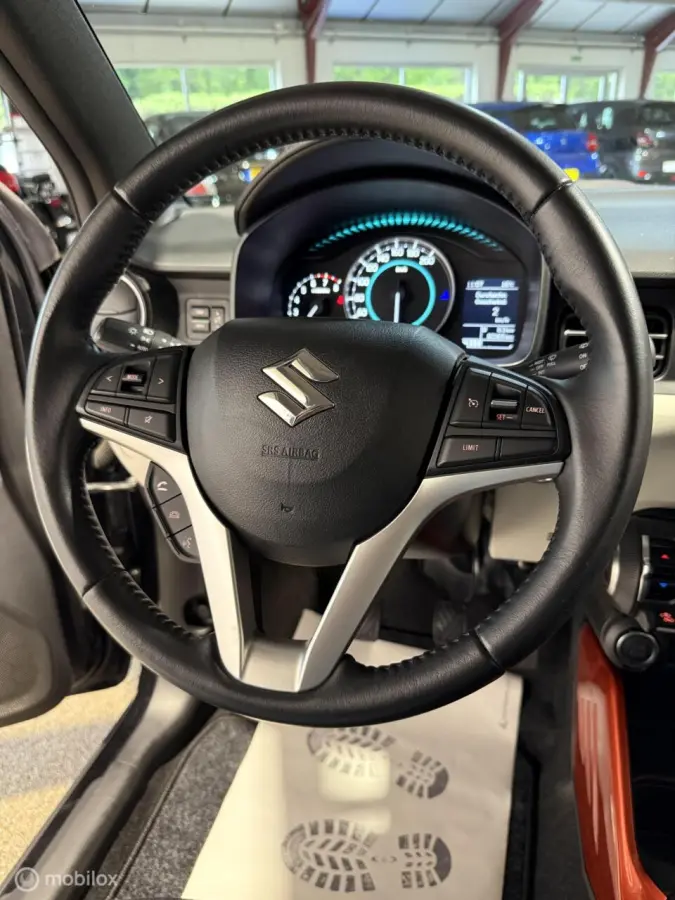 1.2 Business Edition Stijl CRUIS/CLIMA/CAMERA