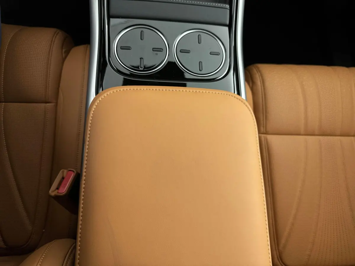 RWD Long Range 98 kWh Premium Pack | Trekhaak | SoH 98,3%