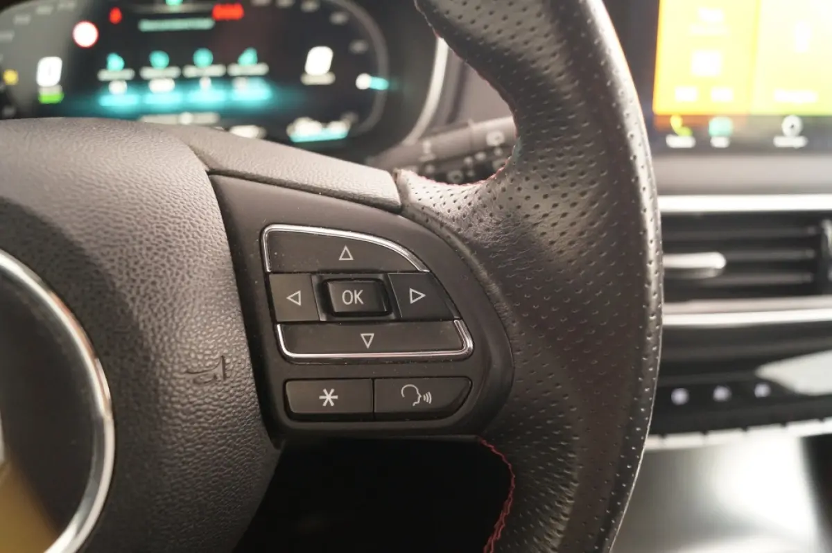 1.5 TGDI PHEV Edition -LEER-CAM-TREKHAAK-ECC-