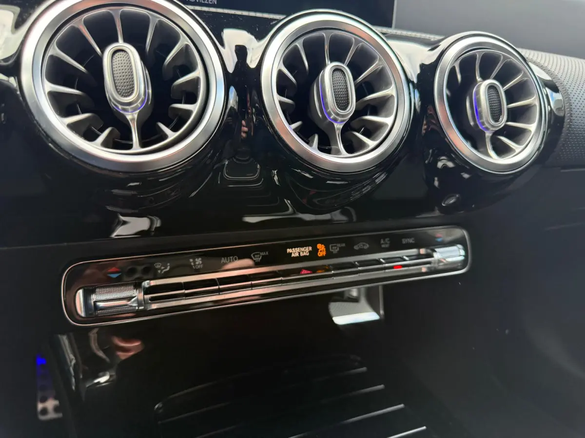 220 Advantage | 1E EIGENAAR | 3/6/12MND GARANTIE | SFEER | CAMERA | AMG-LINE | LED | CRUISE |